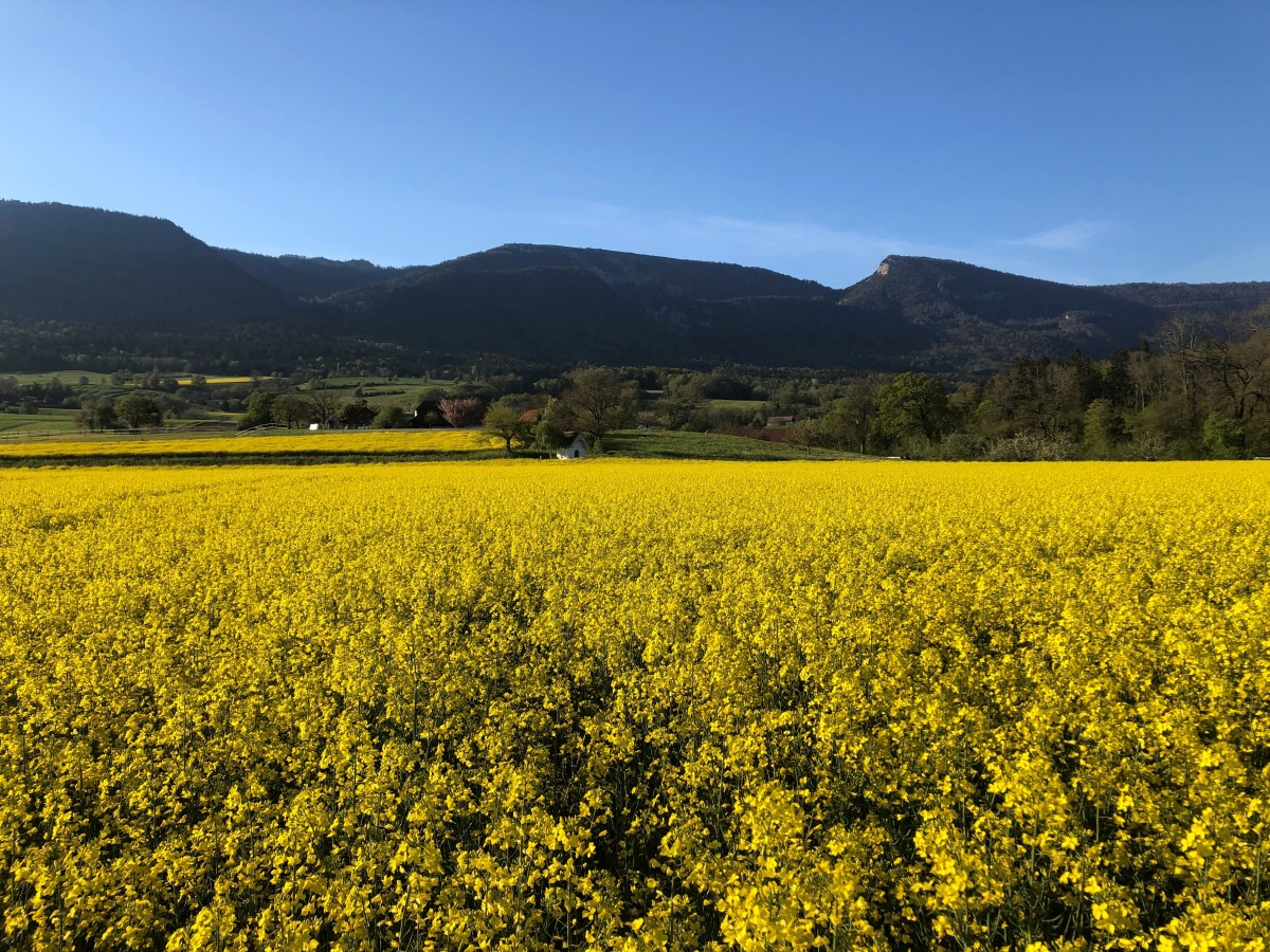 Unhaltbare Zustände!