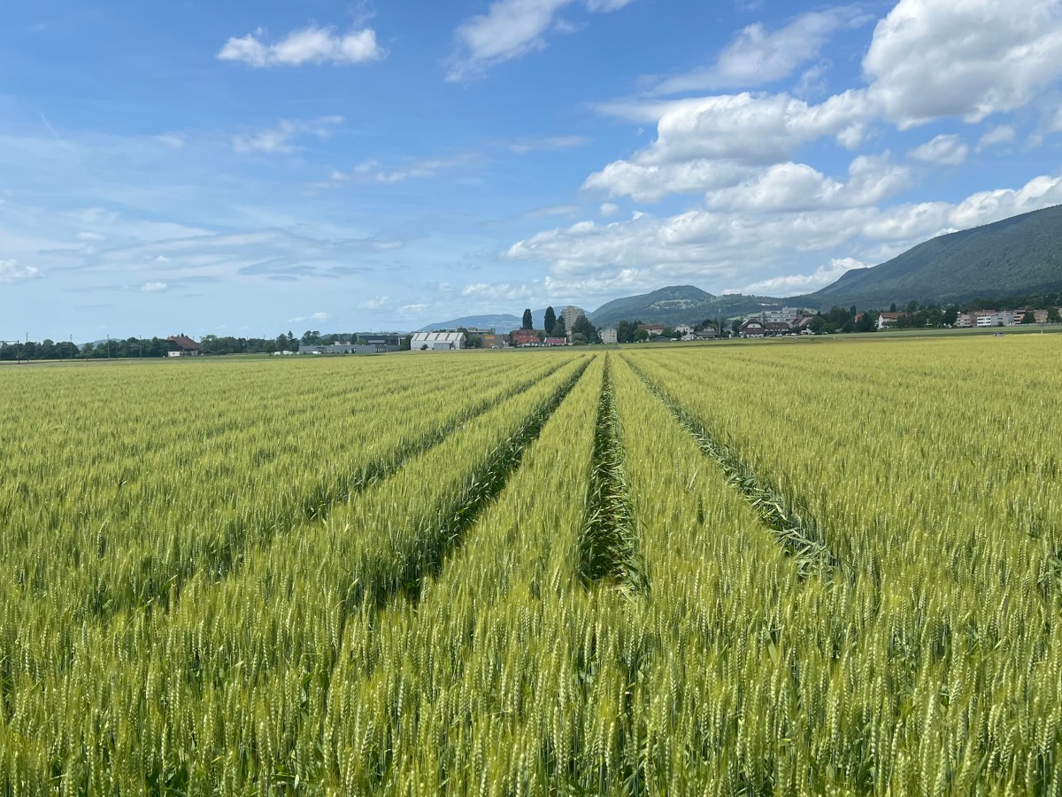 Die Landwirtschaft am&nbsp;Limit