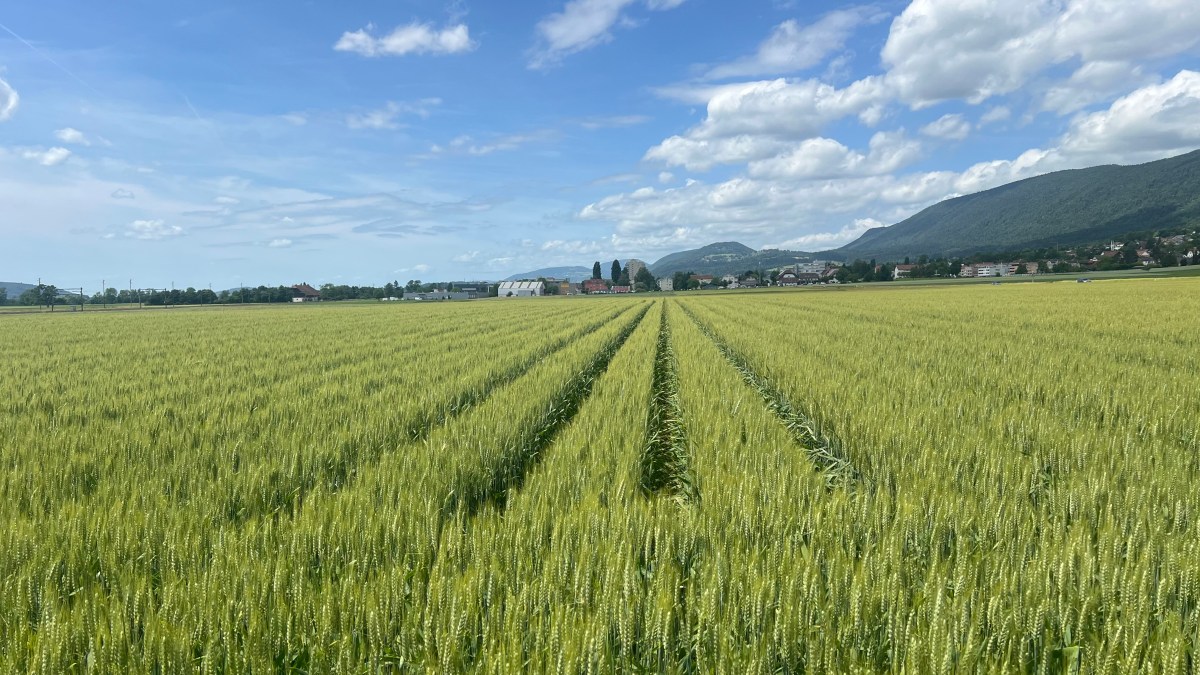 Die Landwirtschaft am&nbsp;Limit